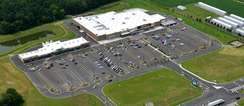 Pine Forest Corners Fletcher Bright